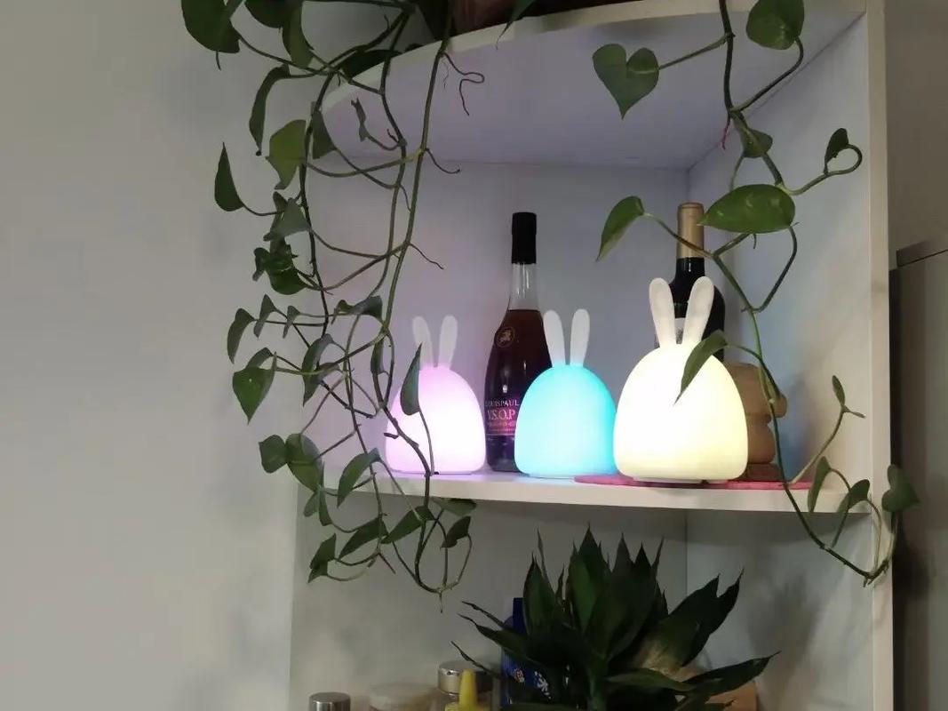 硅胶制品工厂 粉丝 98 获赞 53 关注 硅胶发光产品 #小夜灯氛围